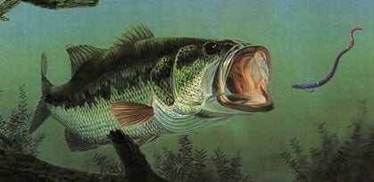 BLOG: AI and Fishing New Jersey Style