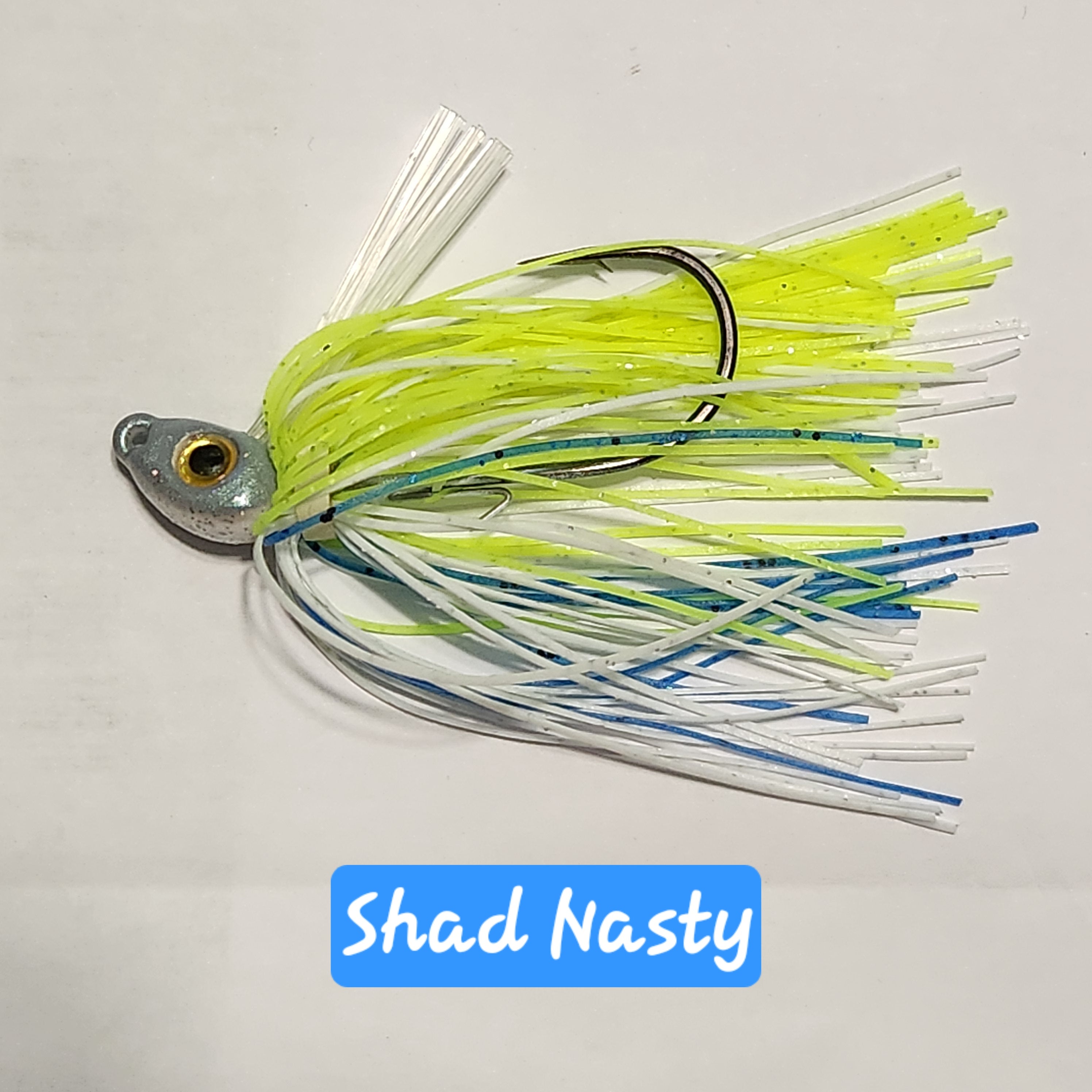 Arkie Style Jig  The Shad Nasty