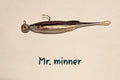 Ball Head Minnows With POWERBAIT DRIP MINNOW