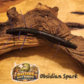 Trigger Stick Baits: Obsidian Spark